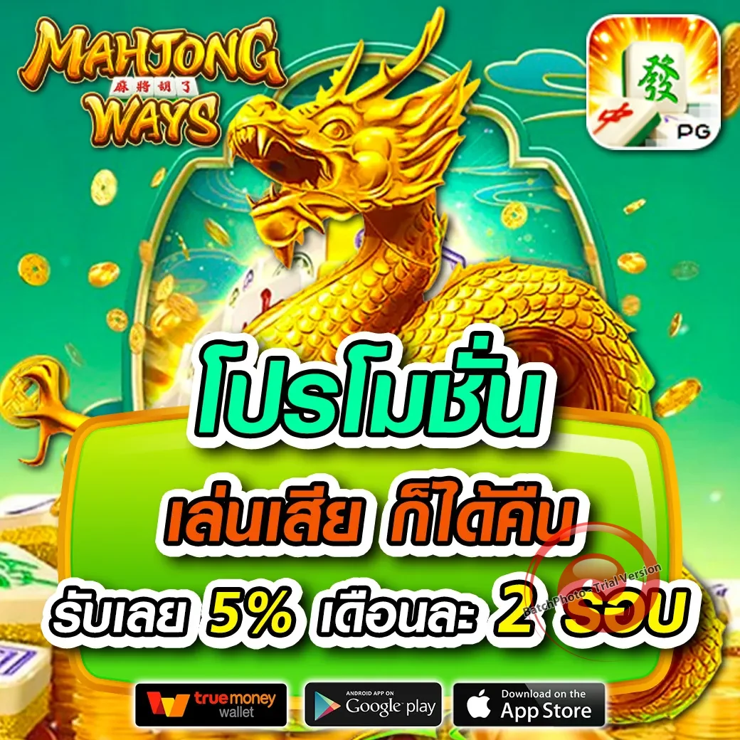 cyberzone เว็บตรง